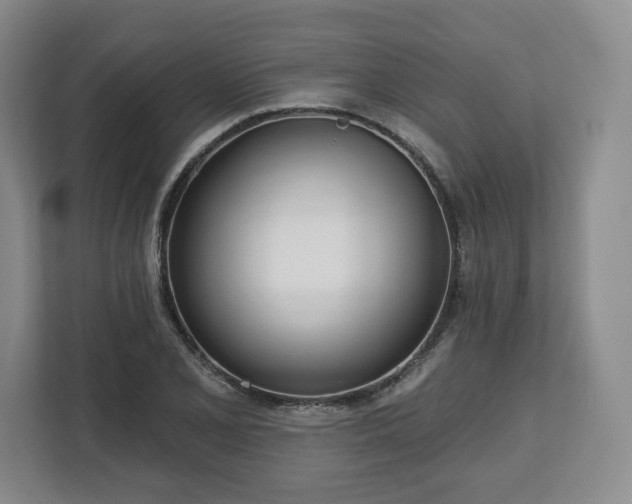 X0000112721077200908271402