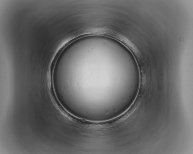 X0000112721079200908271402