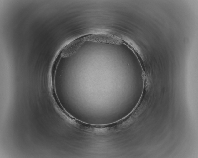 X0000112721080200908271402