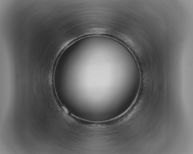 X0000112721081200908271402