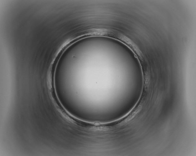 X0000112721083200908271402