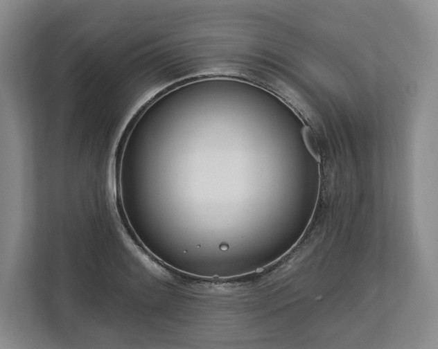 X0000112721084200908271402