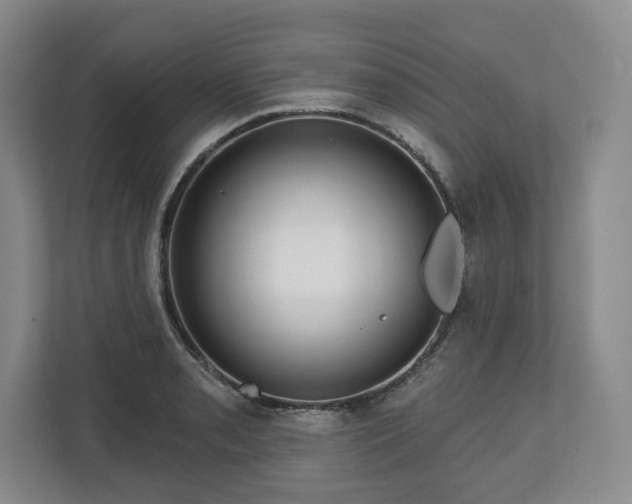 X0000112721085200908271402