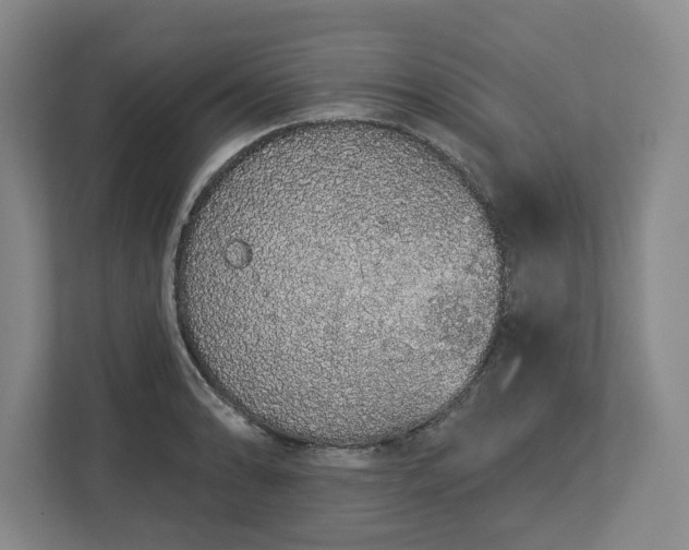 X0000112721086200908271402