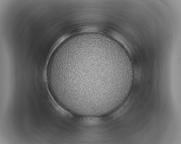 X0000112721090200908271402