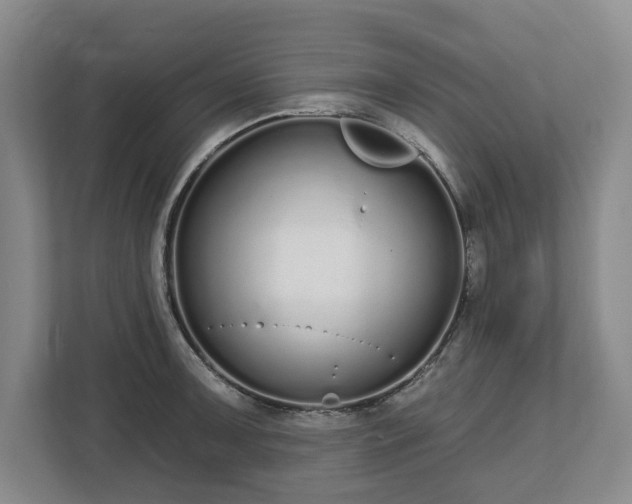 X0000112721091200908271402