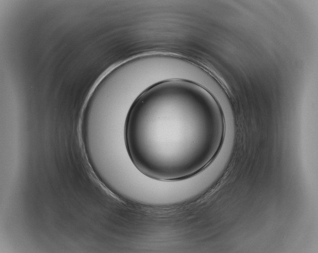 X0000112721092200908271402