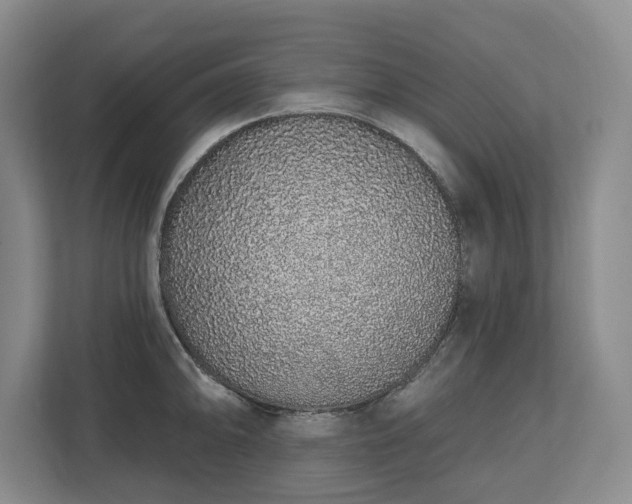 X0000112721094200908271402