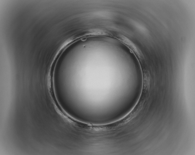 X0000112721095200908271402