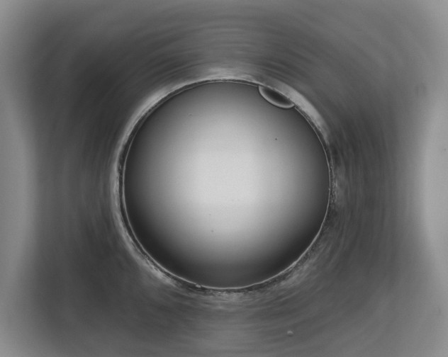 X0000112721096200908271402