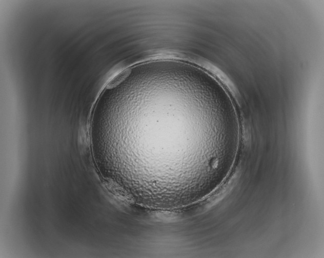 X0000112721097200908271402