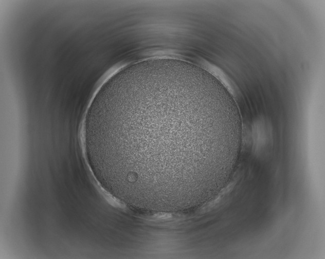 X0000112721098200908271402