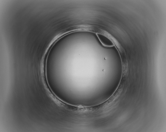 X0000112721099200908271402