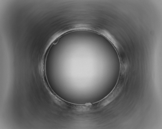 X0000112721101200908271402