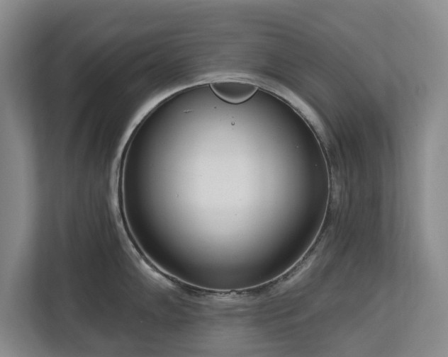 X0000112721102200908271402