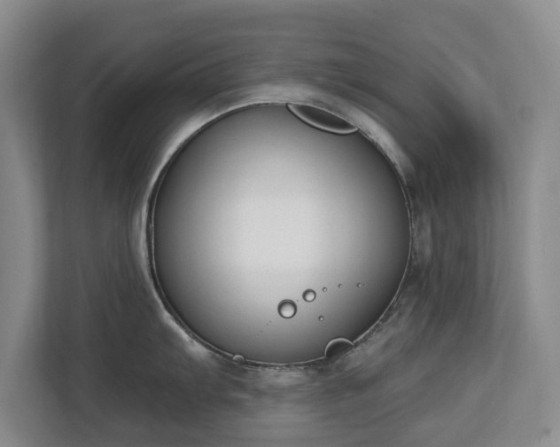 X0000112721103200908271402