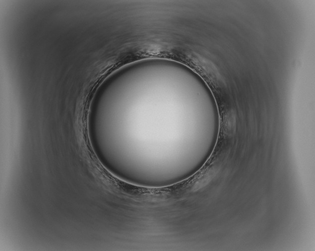 X0000112721105200908271401