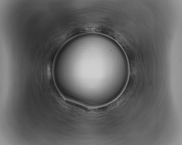 X0000112721106200908271401