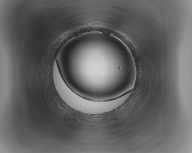 X0000112721110200908271401