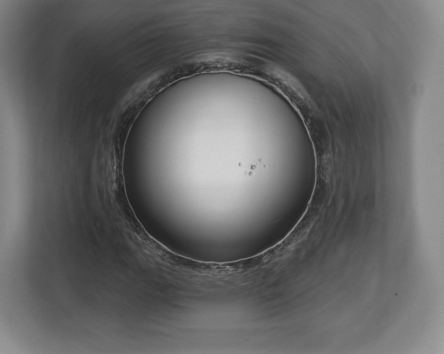 X0000112721111200908271401