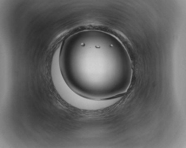 X0000112721112200908271401