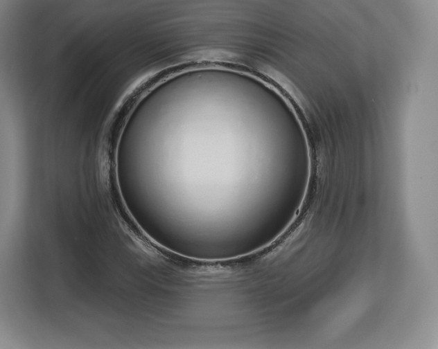 X0000112721115200908271401