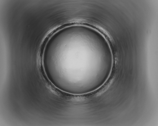 X0000112721117200908271401