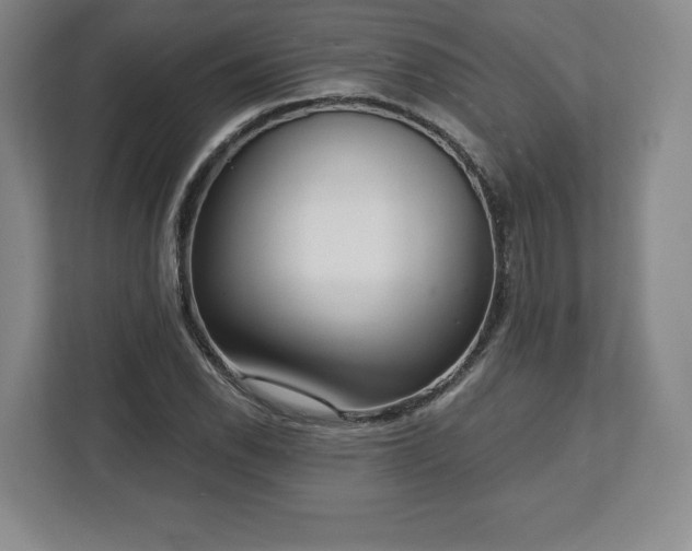 X0000112721118200908271401