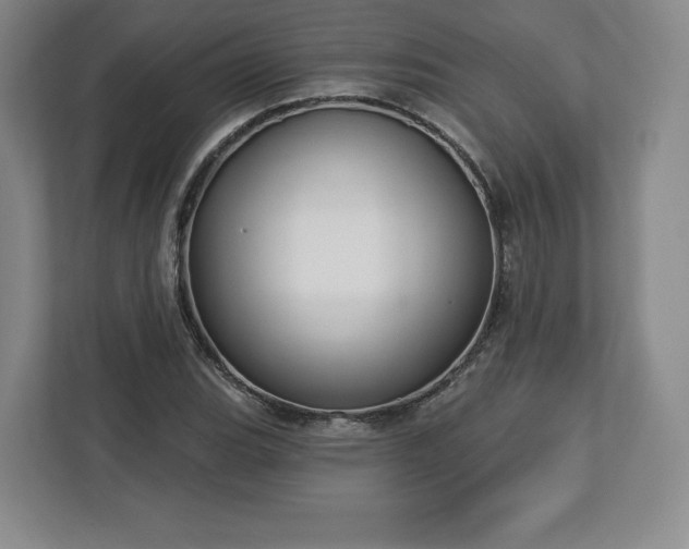 X0000112721119200908271401