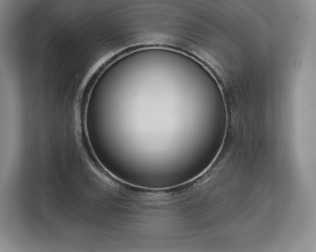 X0000112721120200908271401