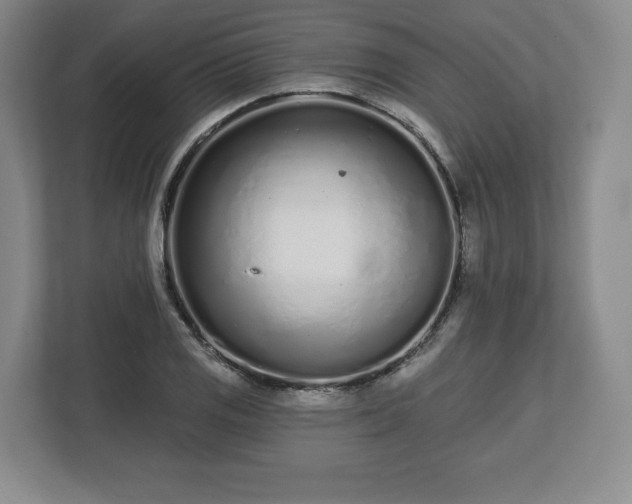 X0000112721125200908271401