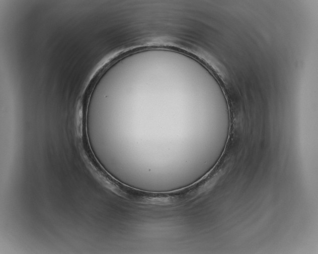 X0000112721126200908271401