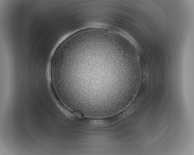 X0000112721128200908271401