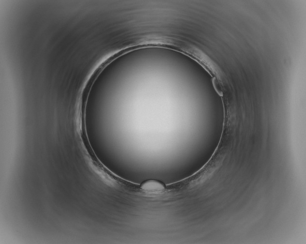 X0000112721132200908271401