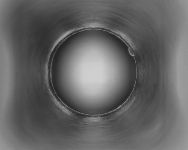 X0000112721134200908271401