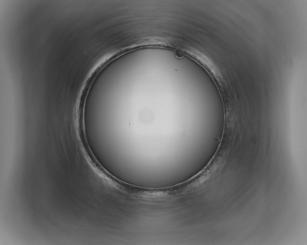 X0000112721135200908271401