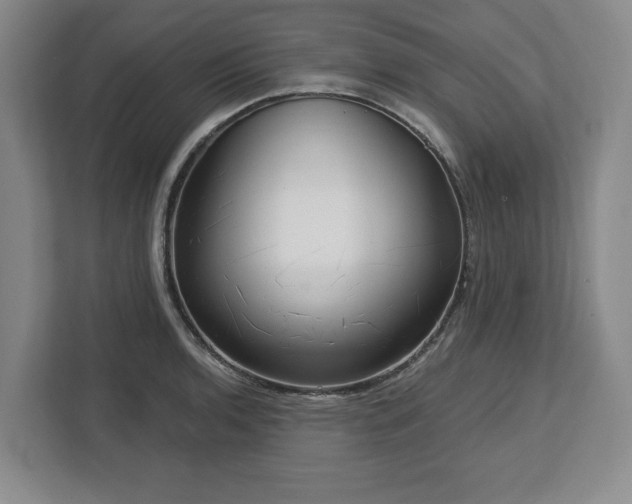 X0000112721136200908271401