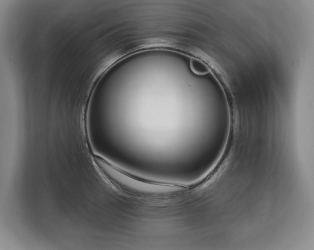 X0000112721137200908271401