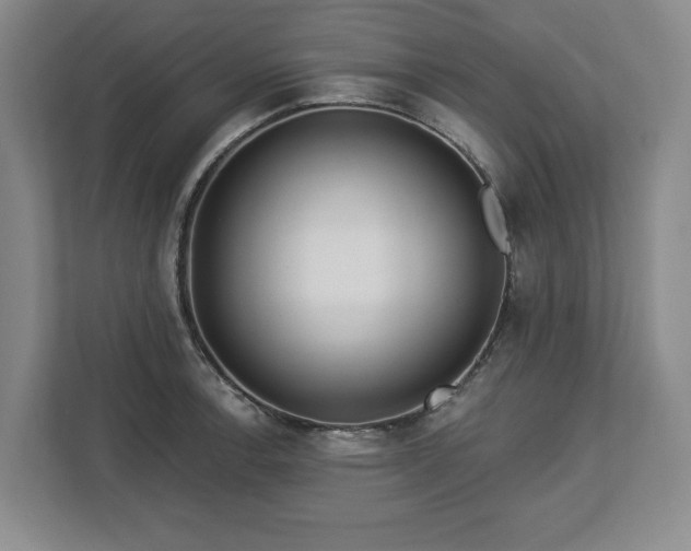 X0000112721138200908271401