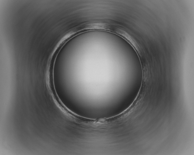 X0000112721139200908271401