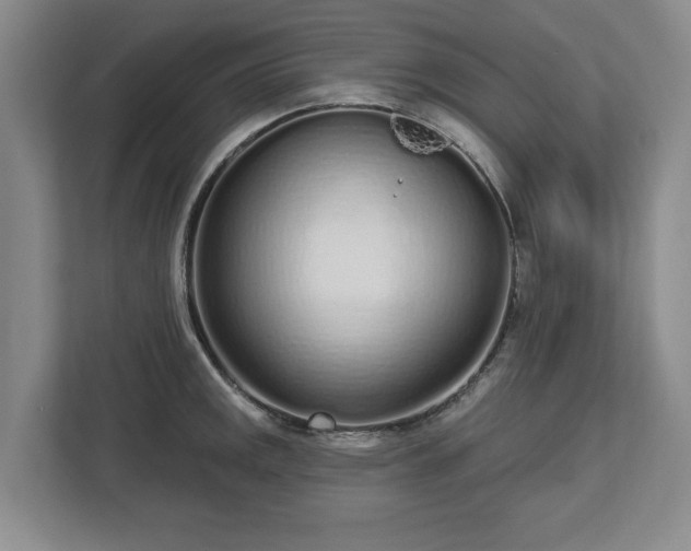 X0000112721141200908271401