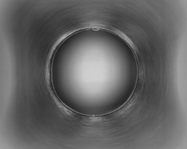 X0000112721144200908271401