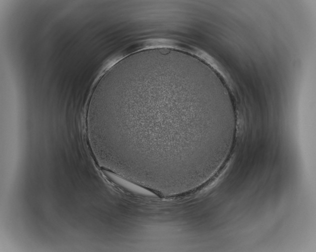 X0000112721145200908271401