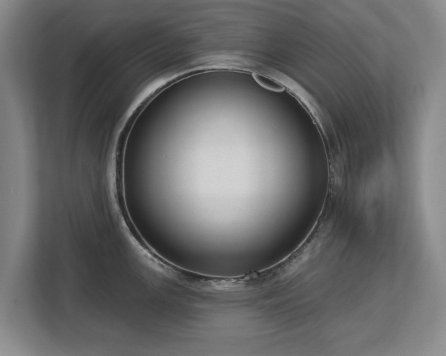 X0000112721147200908271401