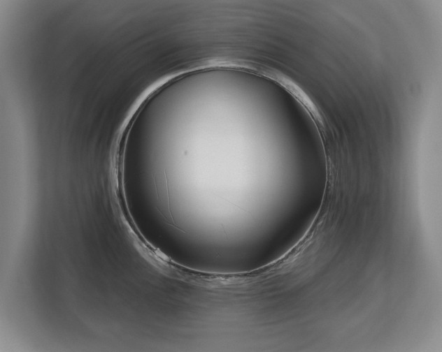 X0000112721148200908271401