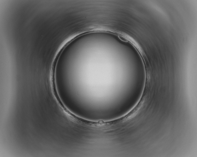 X0000112721149200908271401