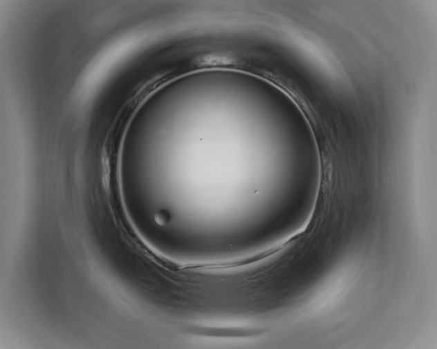 X0000112721151200908271401