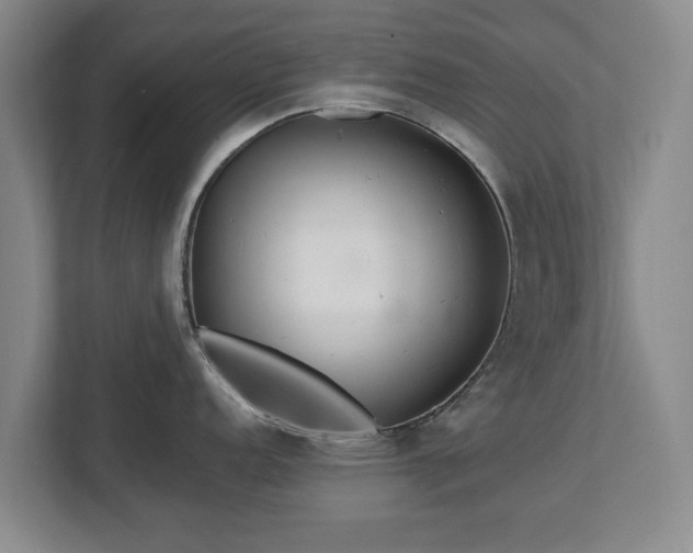 X0000112721152200908271401