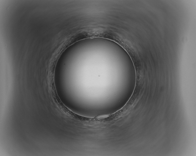 X0000112721153200908271401