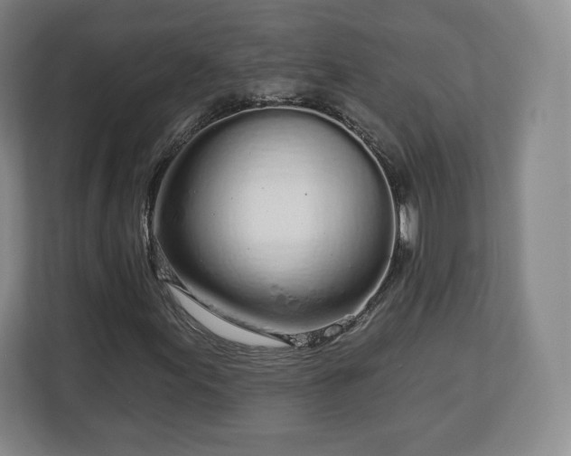 X0000112721155200908271401